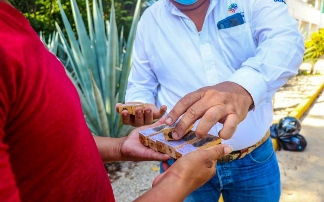 El director de Ganadería de la Secretaría de Desarrollo Rural (Seder), Manuel Jesús Argáez Cepeda, entregó paquetes a productores pertenecientes a los municipios de Kinchil, Sinanché, Kantunil, Hoctún, Halachó, Tetiz y de la comisaría de Tekit de Regil, de Timucuy.