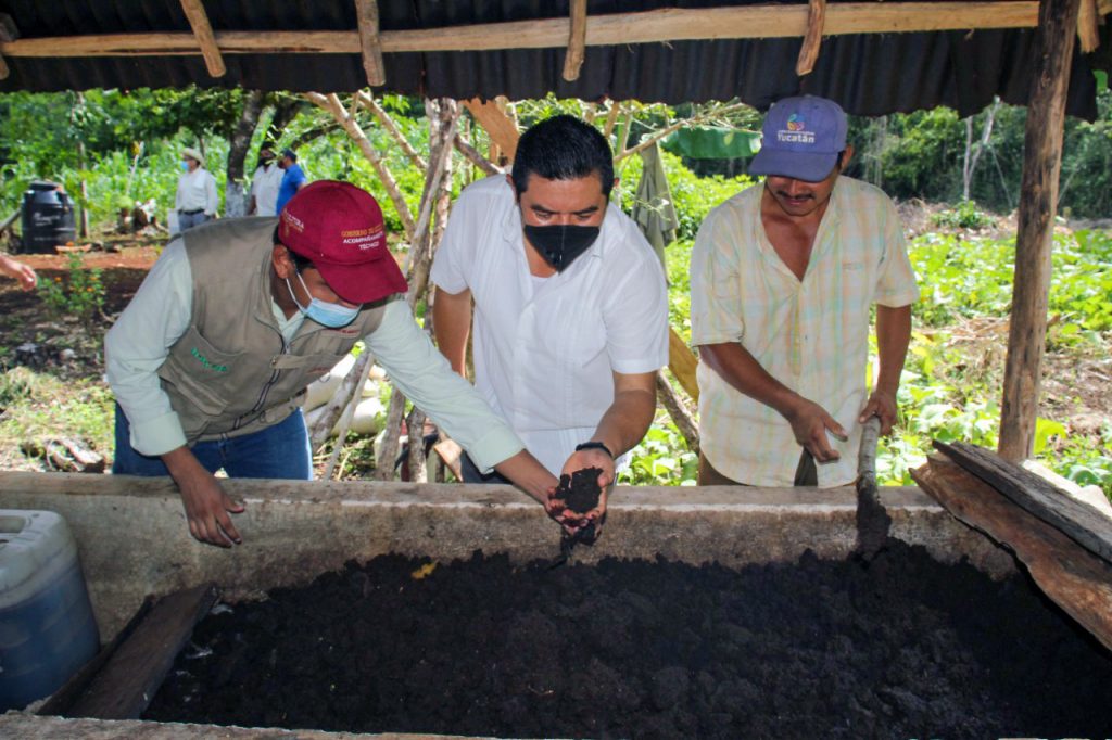 Que el campo florezca y vuelva 
a producir para el consumo de sus habitantes.