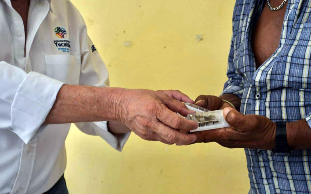 Entrega de abejas reina a apicultores de la villa de Espita.