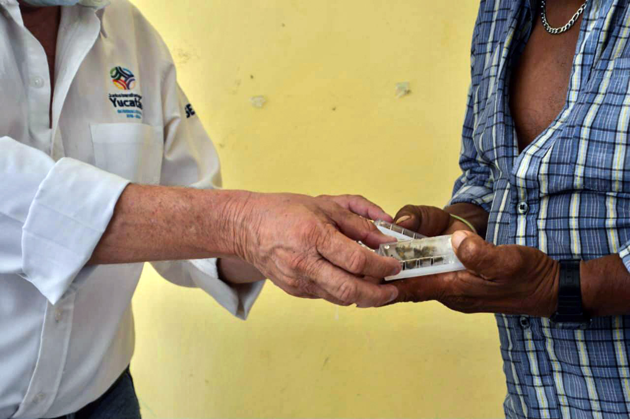 Apicultores de Espita podrán recuperarse de los daños ocasionados por el huracán “Grace”.
