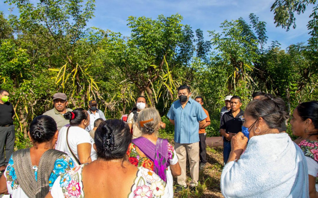 Alfredo Fernández Arceo, alcalde de Valladolid, visitó una unidad de producción de Pitahaya en la comisaría de Tesoco.