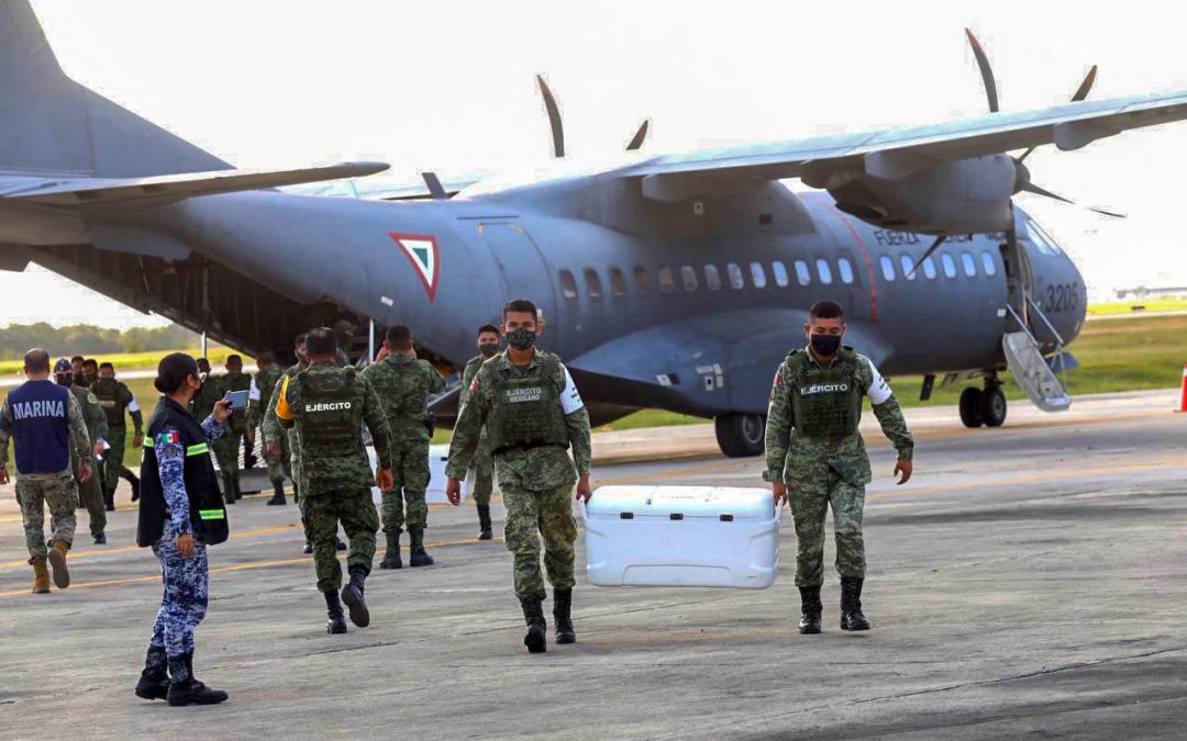 Personal del ejercito mexicano se encargó de transportar el material biológico a los camiones refrigerados que lo transportarían hasta un almacén del gobierno del estado de Yucatán.