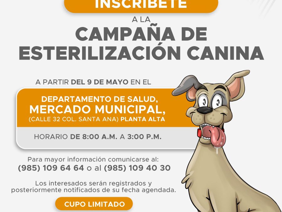 Campaña de esterilización canina el próximo viernes 13 de mayo.