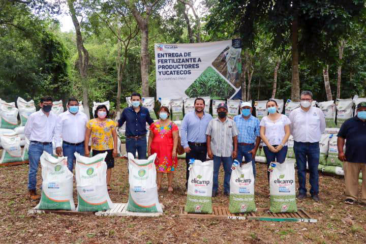 Inició la distribución de semilla de soya certificada para reactivar más de 7 mil hectáreas de cultivo.