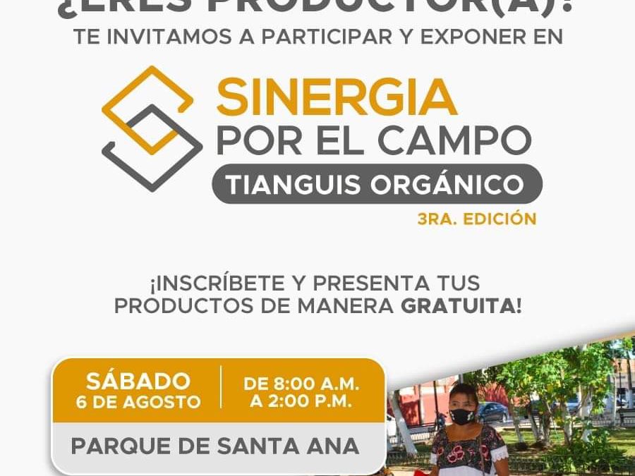 Sinergia Comercial y Sinergia por el Campo, programas municipales que contribuyen en generar economía en Valladolid