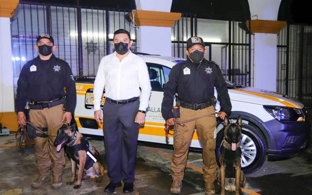La unidad K9 fue presentada en las instalaciones de la policía municipal en un acto encabezado por el presidente municipal, Lic. Alfredo Fernández Arceo.