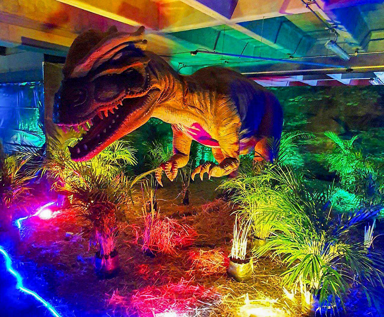 Expo Dinosaurios llega a Tizimín, Valladolid y Mérida para el disfrute de las familias yucatecas