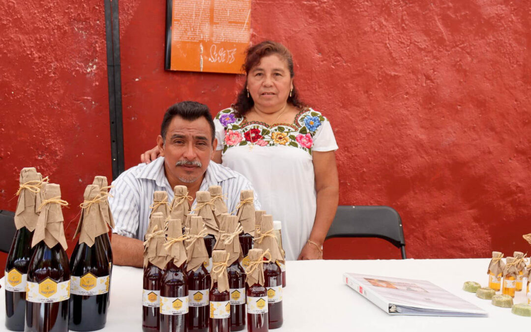 SE CONSOLIDA EN VALLADOLID EL TIANGUIS ORGÁNICO SINERGIA POR EL CAMPO