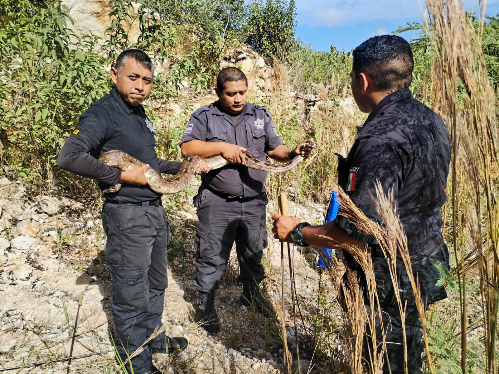 Capacitan a la policía municipal para el manejo de “Vida Silvestre” para una mejor atención a la ciudadanía.