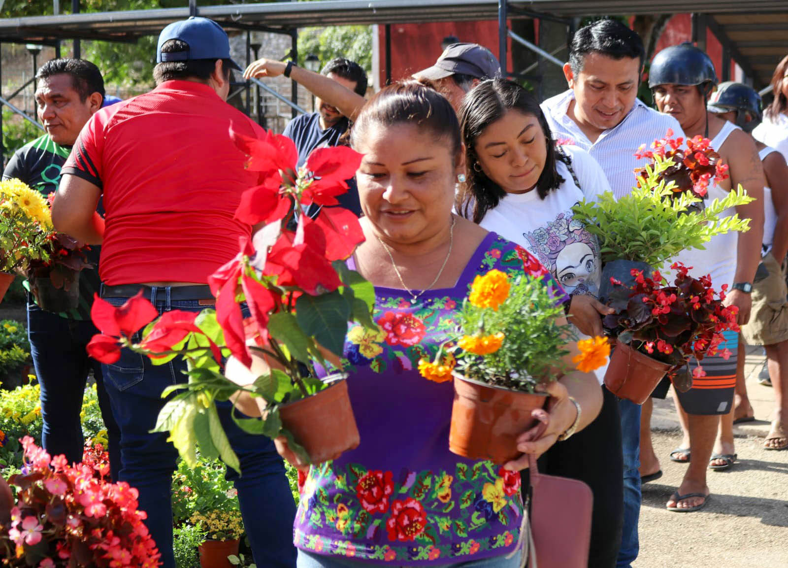 CIENTOS RECIBEN PLANTAS DEL PASEO DE LAS FLORES NAVIDEÑO