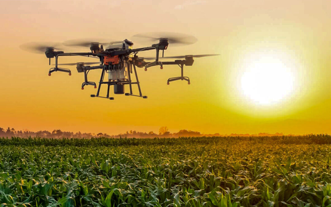 Los drones de uso agrícola han resultado muy útiles para los carteles mexicanos en su guerra contra sus rivales y contra las fuerzas de seguridad del estado.