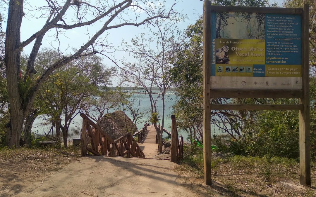 VECINOS DE PUNTA LAGUNA PIDEN SEGURIDAD EN SU COMUNIDAD.