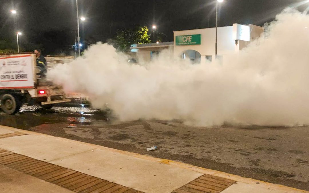 ACCIONES CONTRA EL MOSCO TRANSMISOR DEL DENGUE EN VALLADOLID