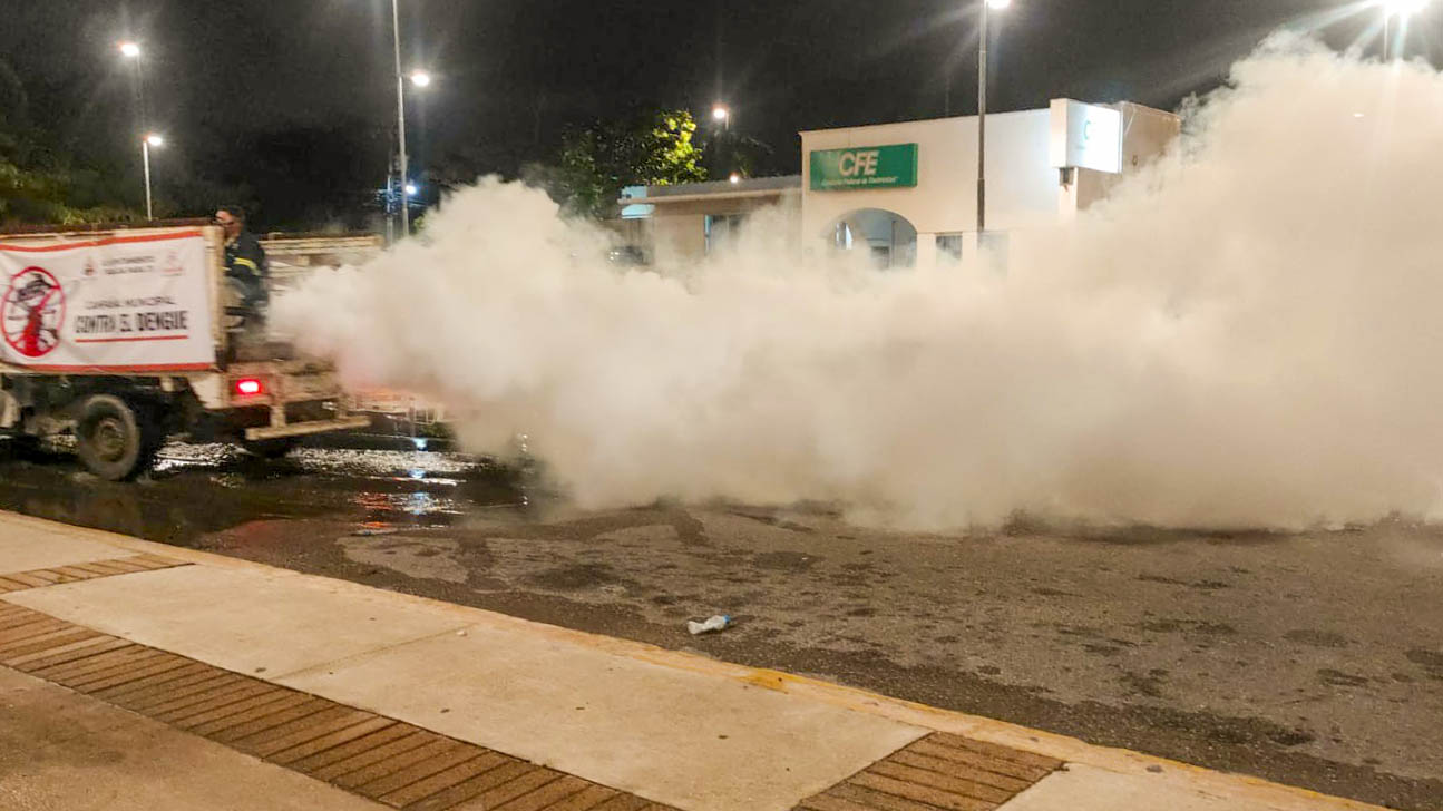 ACCIONES CONTRA EL MOSCO TRANSMISOR DEL DENGUE EN VALLADOLID