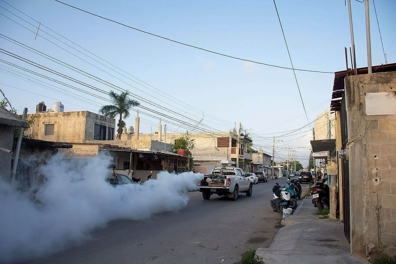LA SSY REALIZARÁ CAMPAÑA DE FUMIGACIÓN PARA PREVENIR ENFERMEDADES.
